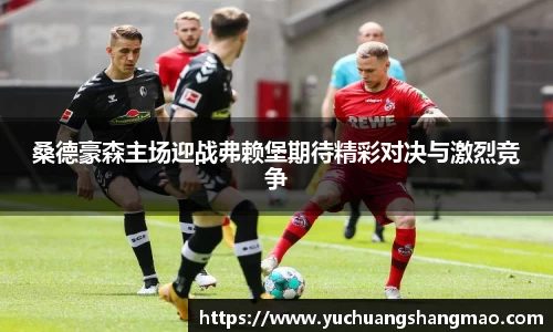 桑德豪森主场迎战弗赖堡期待精彩对决与激烈竞争